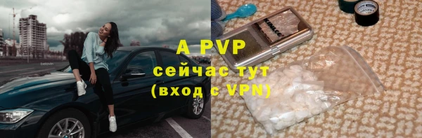 прущие грибы Белоозёрский