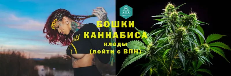 Конопля SATIVA & INDICA  Железноводск 